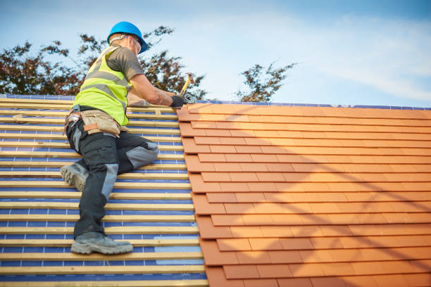 Best Rubber Roofing (EPDM, TPO)  in Prairie Village, KS